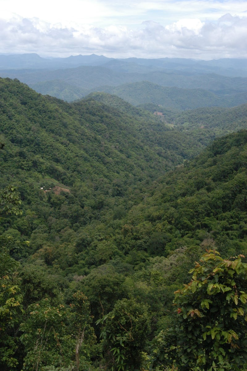 Samoeng Mountain Loop 90km Road Ride in Chiang Mai, photo 4
