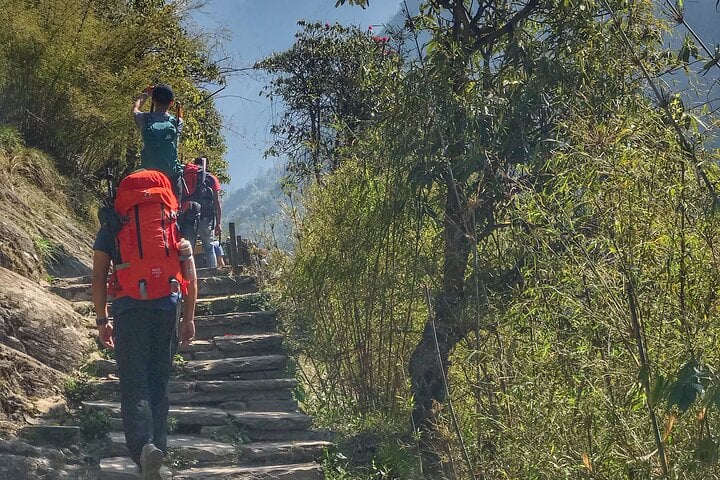 Annapurna Sanctuary Trek in Nepal, photo 3