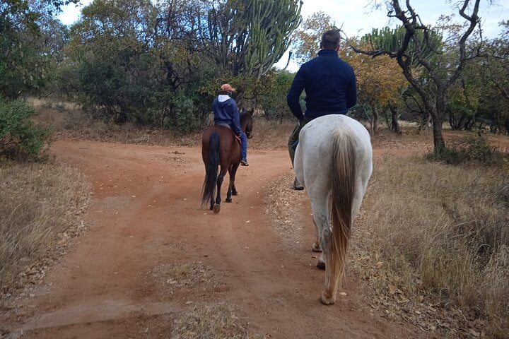 Horse Trail Safari Half Day in Hartbeespoort, photo 2