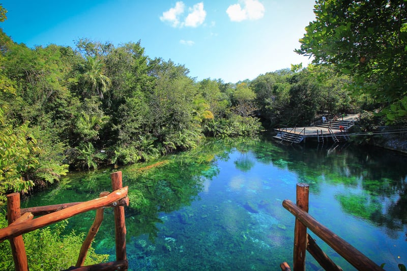 Riviera Maya Snorkelling Adventure in Puerto Morelos, photo 5