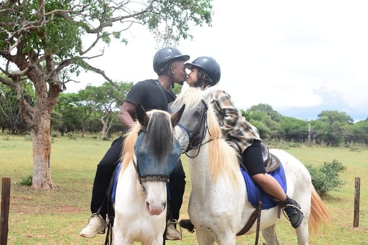 Aerial Cableway and Horse Trail Safari in Hartbeespoort, photo 2