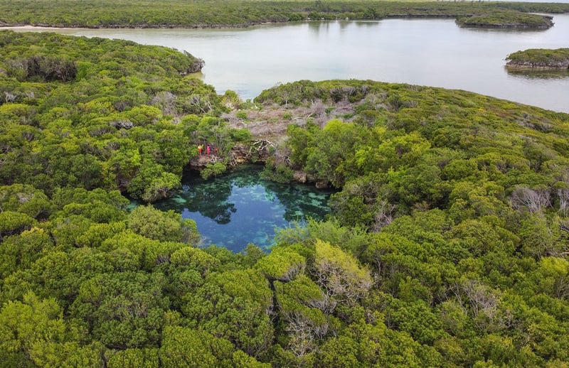 Snorkelling at Blue Lagoon in Mafia Island, photo 2