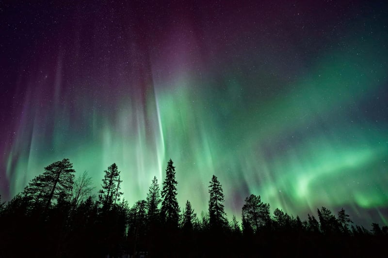 Northern Lights Aurora Hunt from Rovaniemi Lapland, photo 4