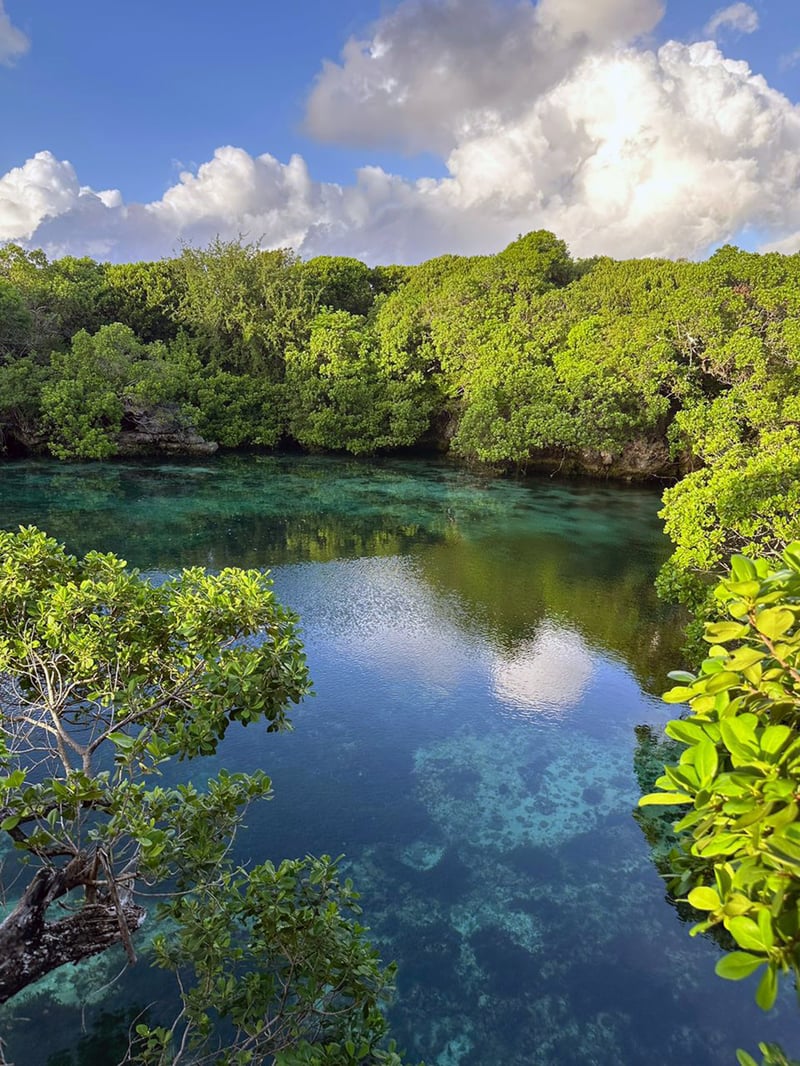 Snorkelling at Blue Lagoon in Mafia Island, photo 3