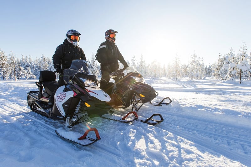 Avventura in motoslitta nella natura selvaggia di Rovaniemi, foto 2