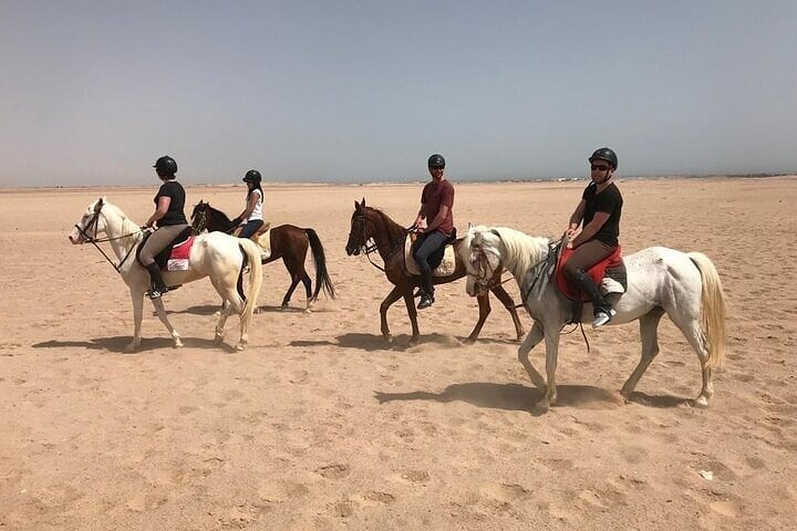 Horse Riding: 2 Hours Sea and Desert with Transfer in Hurghada, photo 2