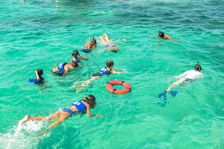 Private Snorkelling in Punta Cana, photo 5