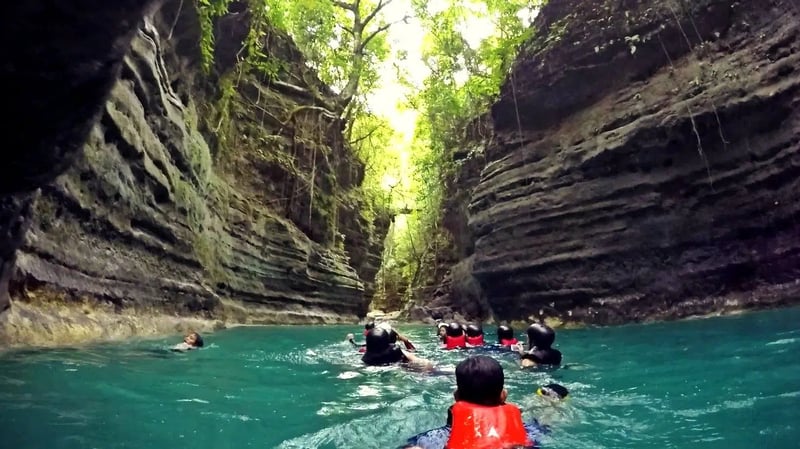 Whale Shark Encounter and Badian Canyoneering Combo, photo 5