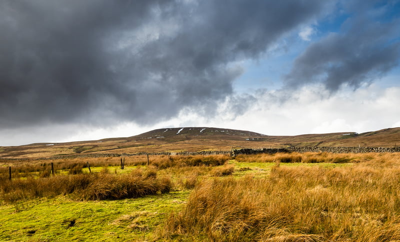 Guided Day Walk in the Yorkshire Dales, photo 5