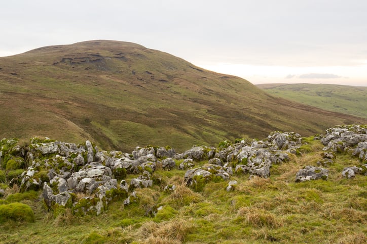 Guided Day Walk in the North Pennines, photo 2