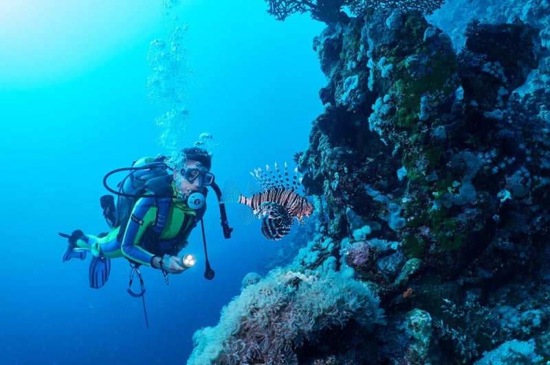 Marsa Mubarak 2 Intro Dives with Lunch & Transfer - Marsa Alam, photo 2