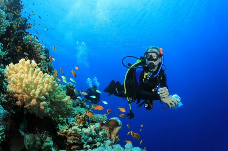 Marsa Mubarak 2 Intro Dives with Lunch & Transfer - Marsa Alam, photo 5