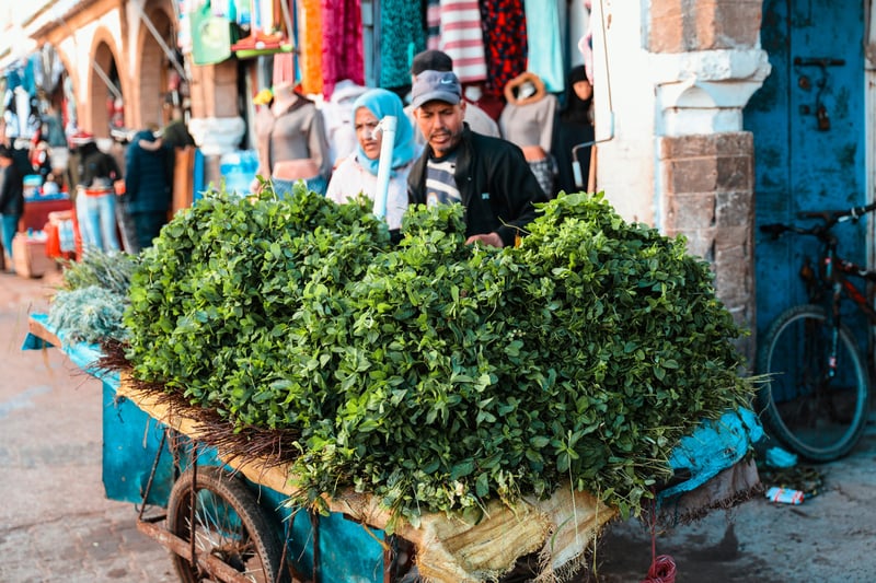Daily Shared Tour: Essaouira Coastal Walk from Marrakech, photo 4