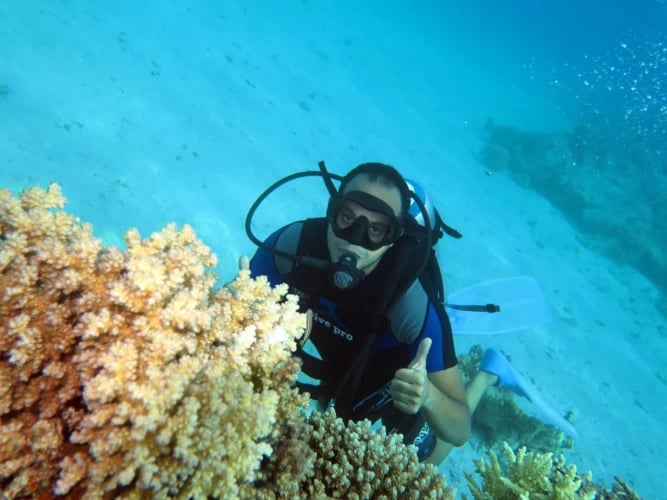 Tiran Island Snorkeling Trip with Lunch in Sharm El Sheikh, photo 2