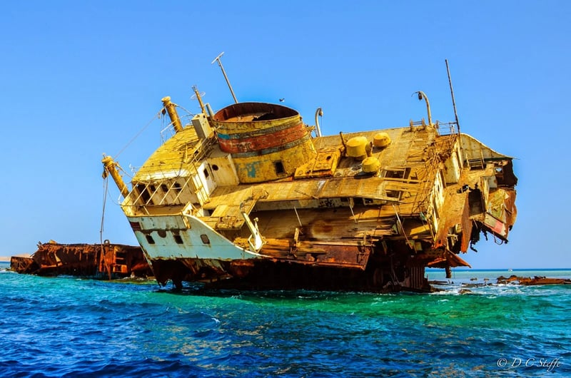Tiran Island Snorkeling Trip with Lunch in Sharm El Sheikh, photo 3