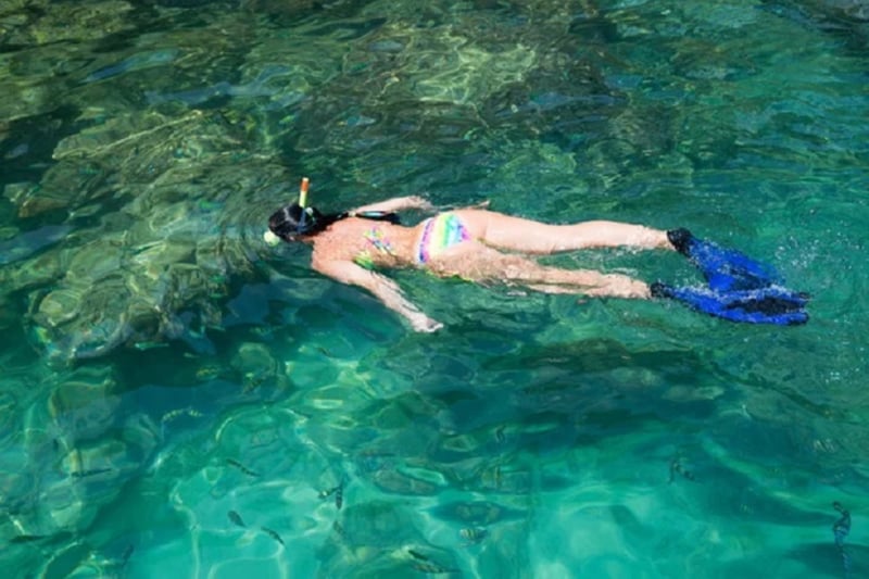 Tiran Island Snorkeling Trip with Lunch in Sharm El Sheikh, photo 5