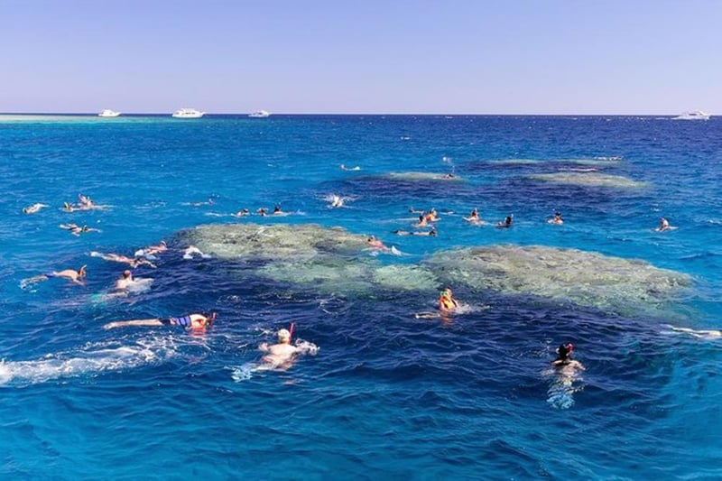 Tiran Island Snorkeling Trip with Lunch in Sharm El Sheikh, photo 4