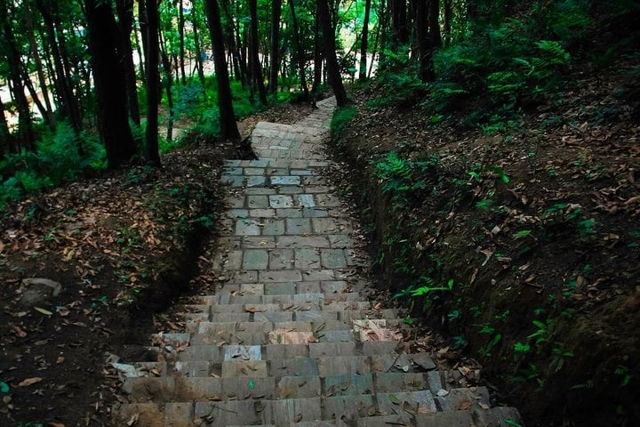 Nagarjun and Jamacho Gumba Hike from Kathmandu, photo 4