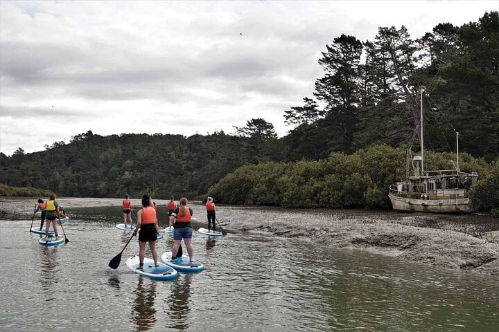 SUP Tour to Lucas Creek Waterfall in Auckland, photo 4