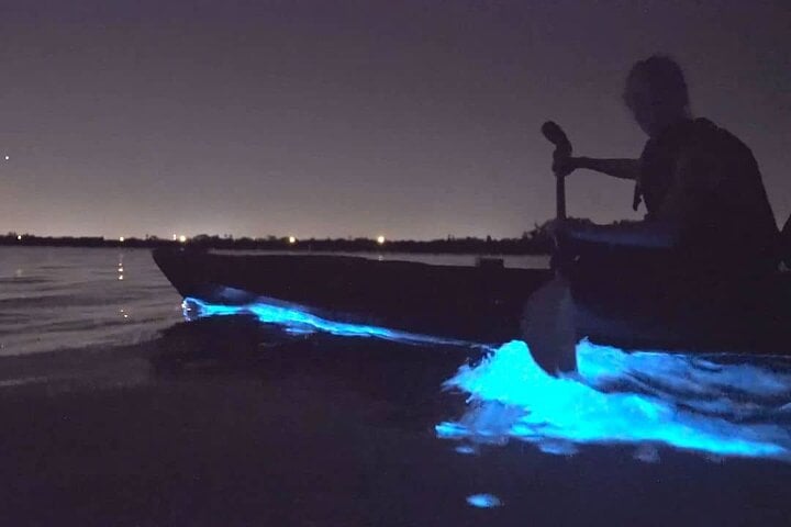 Okura Bioluminescence Kayak Tour in Auckland, photo 3