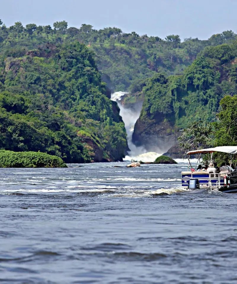 6 Day Wildlife and Chimp Safari in Uganda, photo 4