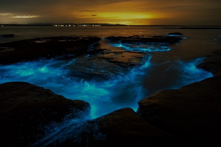 Okura Bioluminescence Kayak Tour in Auckland, photo 4