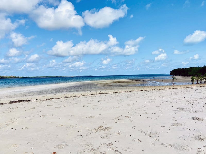 Sandbank Snorkelling in Mafia Island Marine Park, photo 4