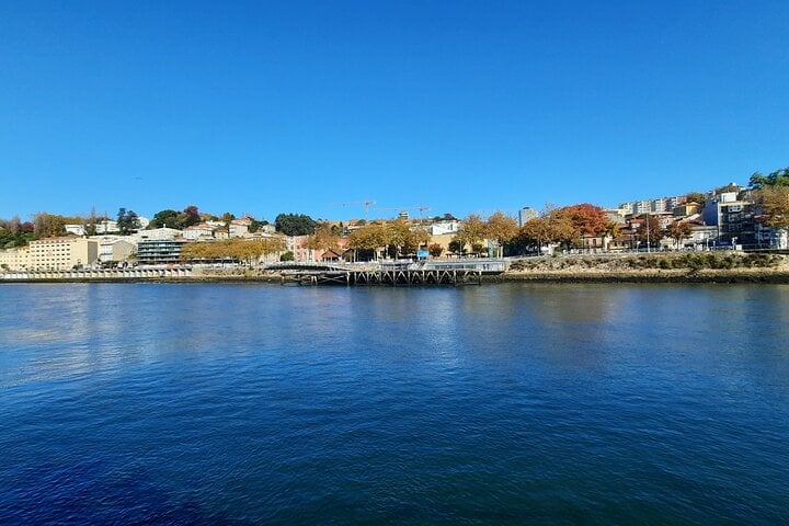 Porto Food Tour and Douro Sailing Experience, photo 3