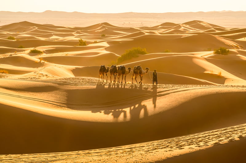 Private 3-Day Desert Trip to Erg Chegaga from Marrakech, Foto 5