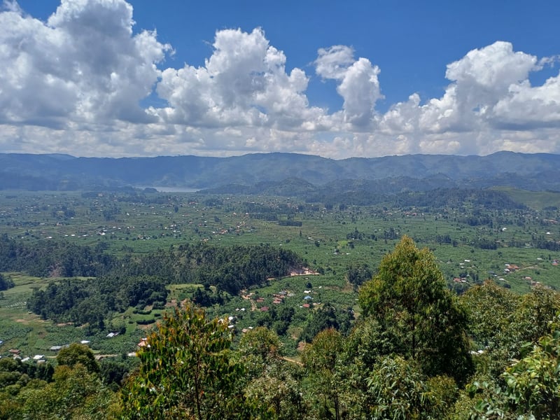 Hiking Safari in Kisoro and Mgahinga, photo 3