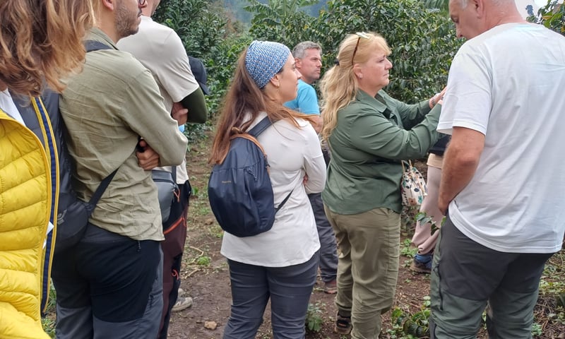 Hiking Batwa Cultural Trail in Mgahinga, photo 2
