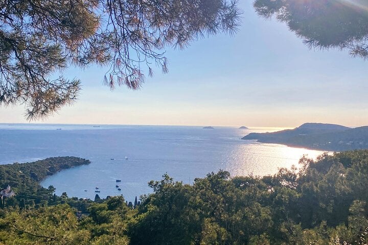 Tour di nuoto selvaggio sulle Isole dei Principi, foto 4