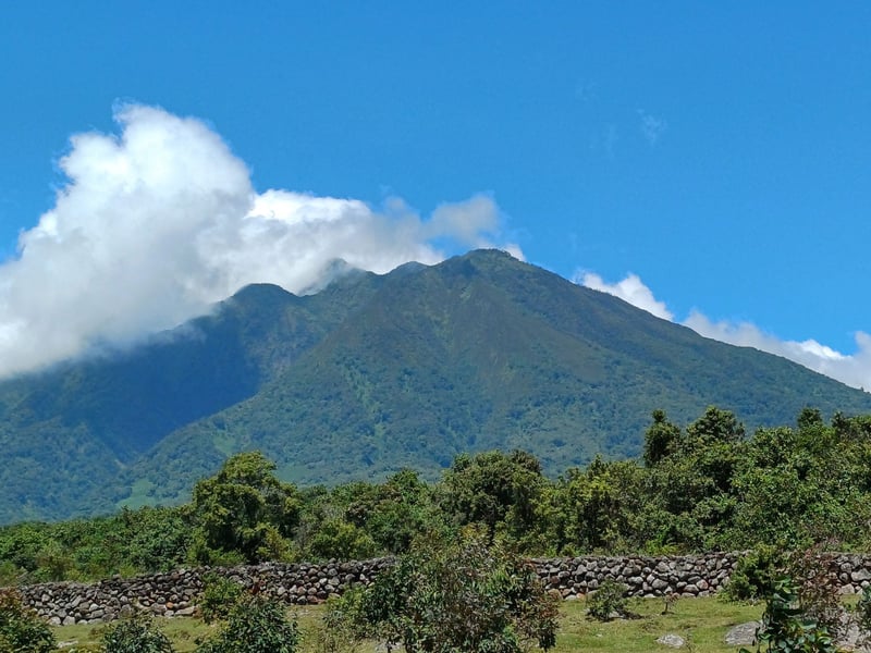 Hiking Safari in Kisoro and Mgahinga, photo 4