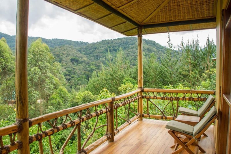 Hiking Gorilla Trek in Rwanda and Bwindi Uganda, photo 3
