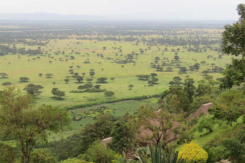Hiking Safari in Queen Elizabeth National Park, photo 2