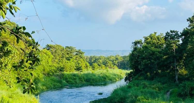 Kathmandu, Pokhara, and Chitwan Adventure - 7 Days, Foto 3