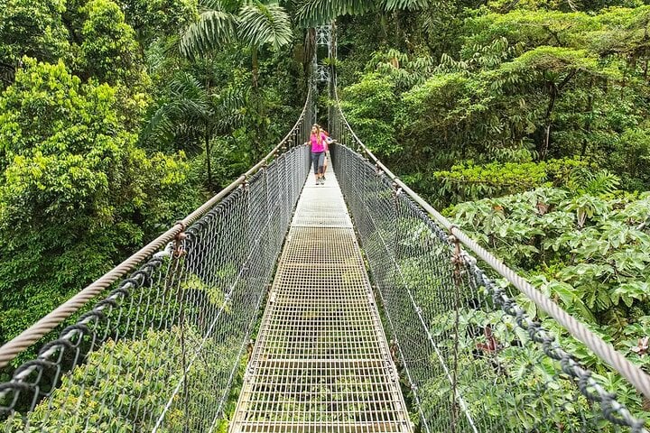 Arenal Volcano and Mistico Hanging Bridges in La Fortuna, photo 2