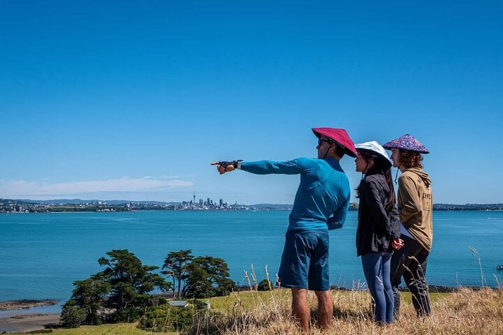 Sea Kayak Tour to Browns Island in Auckland, photo 5