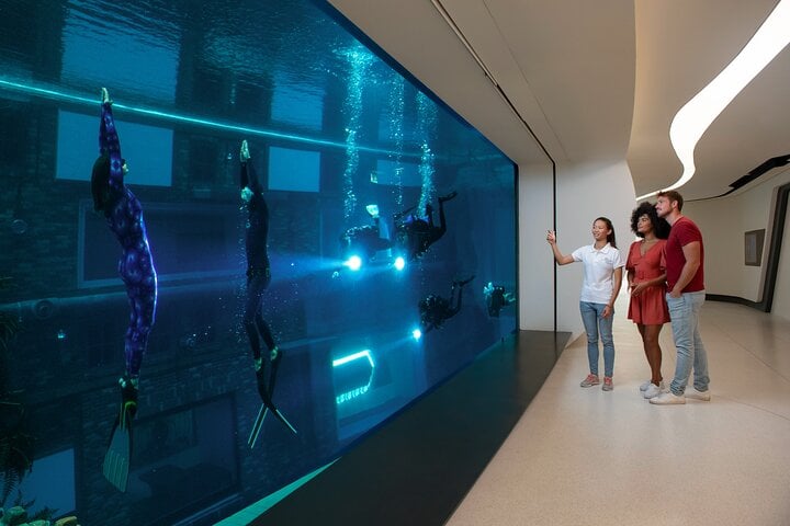 Discover Scuba at Deep Dive Dubai, photo 3