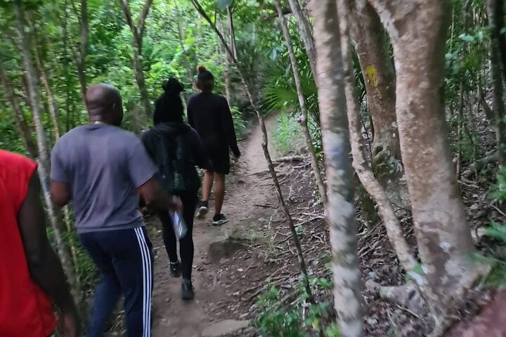 Guided Hiking on Sentry Hill, Sint Maarten, photo 4