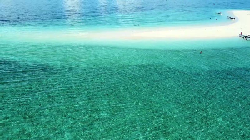 Dolphin Snorkelling and Beach BBQ at Pungume Island, photo 3