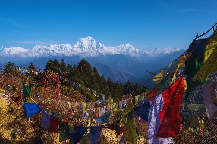4, 8 or 9 Day Poon Hill Trek from Kathmandu, photo 4