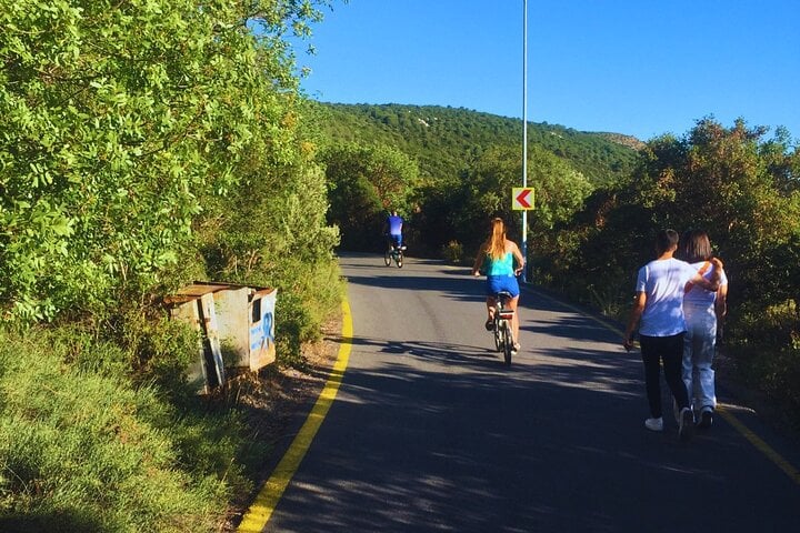 E-bike Tour in Büyükada, photo 5