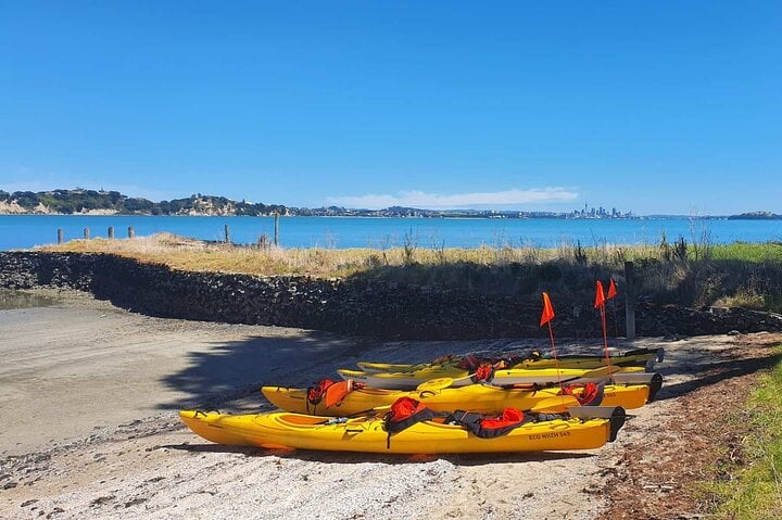 Sea Kayak Tour to Browns Island in Auckland, photo 4