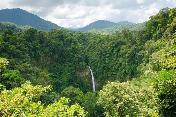 La Fortuna Waterfall and Arenal Volcano Hike, photo 4