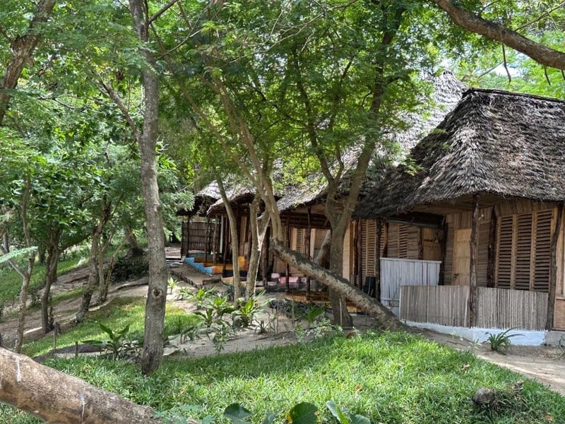 Guided Bicycle Tour of Mafia Island, photo 3