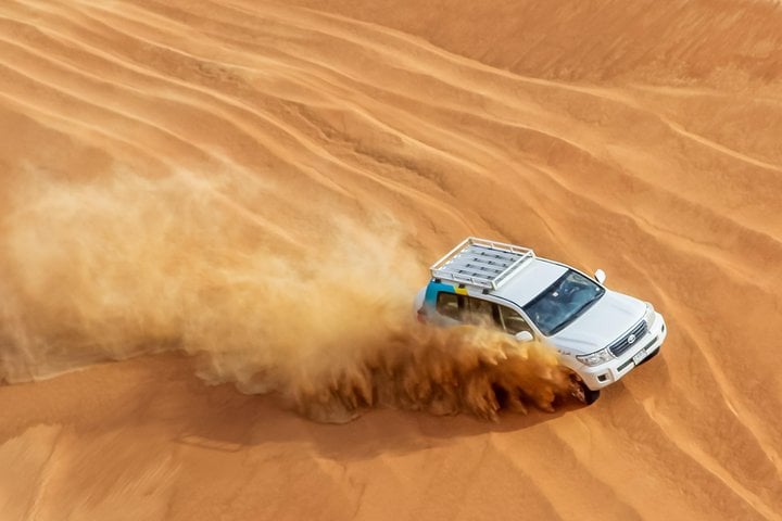 Morning Desert Safari in Abu Dhabi, photo 3