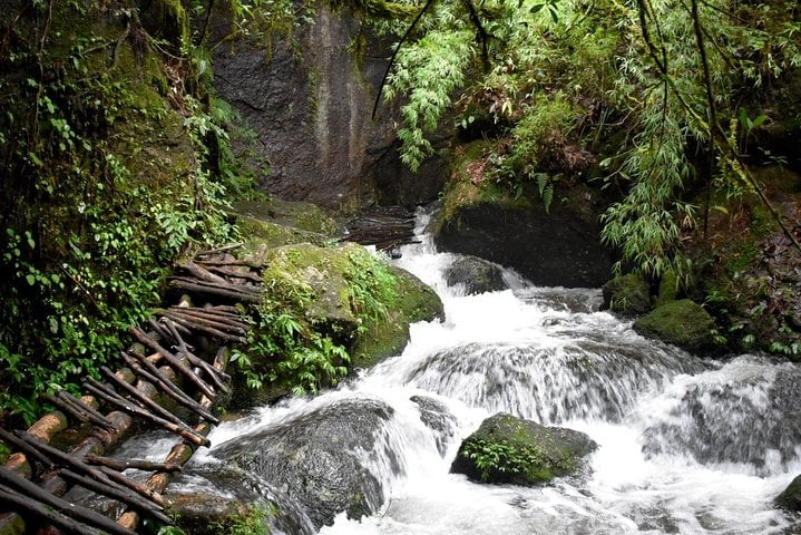 Shivapuri Day Hike from Kathmandu, photo 5