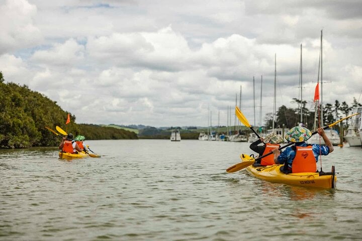 Private Kayak and Brewery Tour in Clevedon, photo 3