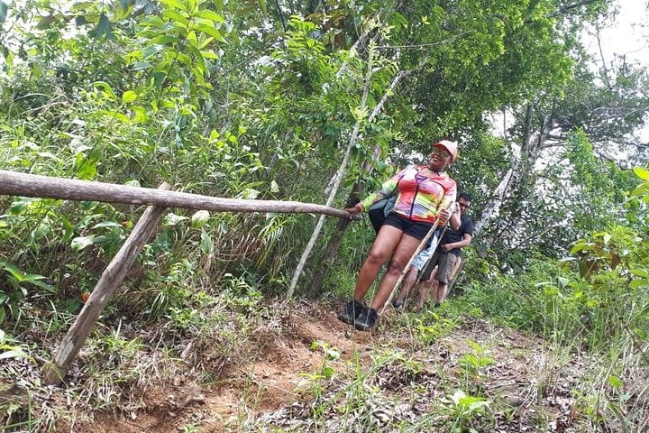 Jungle Hike and Waterfall Swim near Capira, photo 4